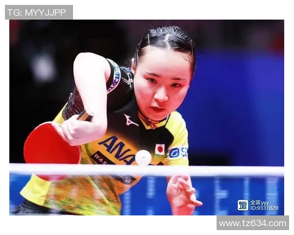 上海排球队灵活性分析与战术调整的深度探讨